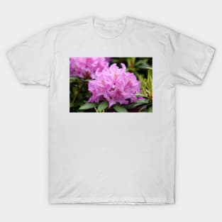 Purple rhododendron flower T-Shirt